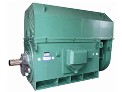 海丰Y系列6KV高压电机